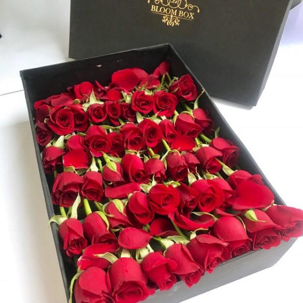 Rose hot sale gift girlfriend