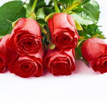 Load image into Gallery viewer, 6 Red Roses Flower Bouquet for Valentine&#39;s I-FBO
