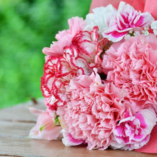 Load image into Gallery viewer, Baby Pink Carnations: Send a Bouquet of flowers for Birthday today in India Home delivery I-FBO
