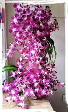 Load image into Gallery viewer, Birthday Jumbo flowers bouquet for same day delivered online in India I-FBO
