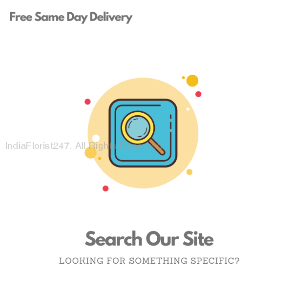 Search Our Site Free Same Day Delivery