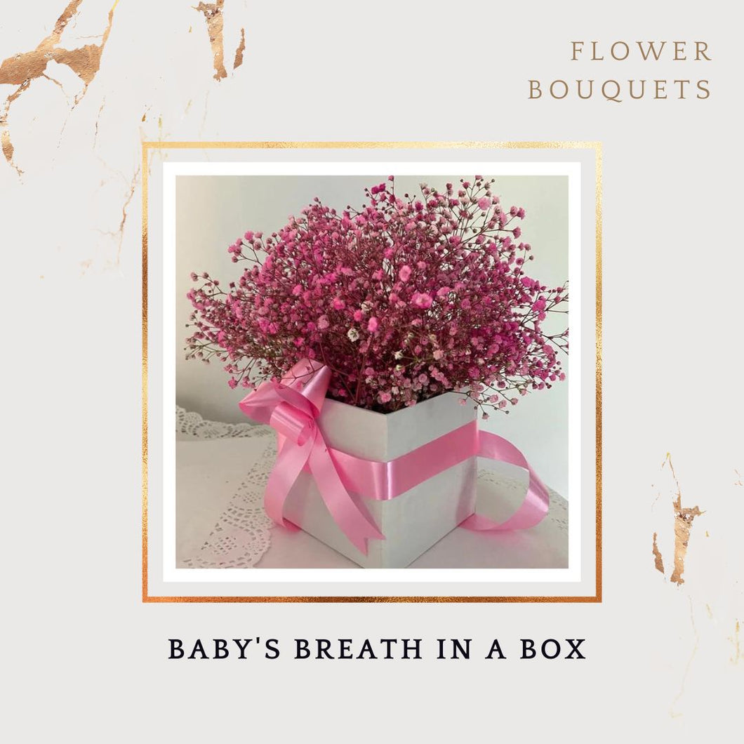 Fresh Flowers Baby's Breath delivery online in Mumbai Pune Delhi Bangalore Hyderabad I-FBO