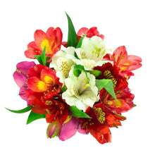 Load image into Gallery viewer, Online flower delivery in Mumbai Bangalore Pune Delhi Chandigarh &amp; All India I-FBO

