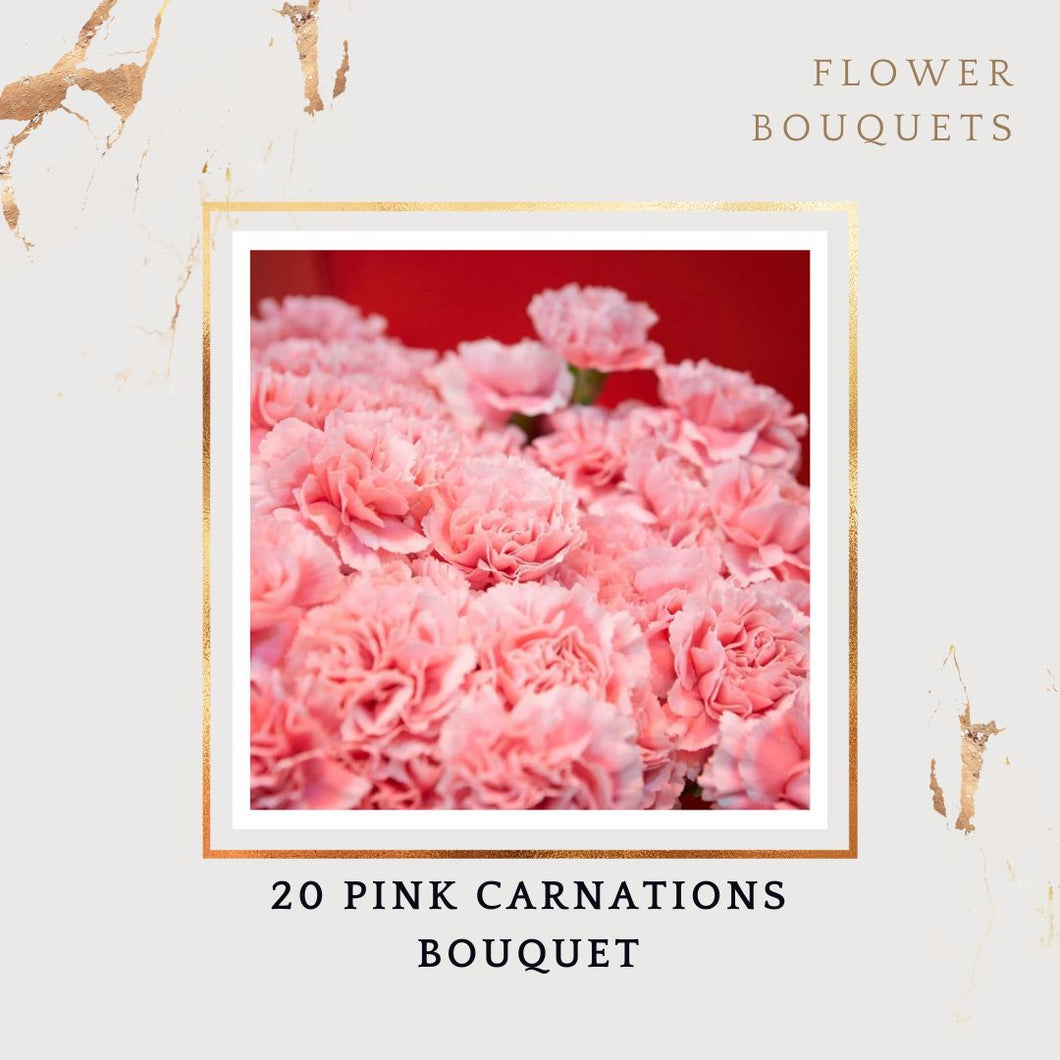 Pink Carnations Bouquet: Send Elegant Flower bouquet for gift online shopping same day I-FBO