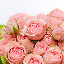 Load image into Gallery viewer, Pink Roses Flower Bouquet for Valentines or Birthday I-FBO
