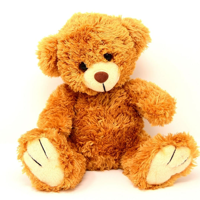 Teddy Bear - Same Day Delivery Gifts across India